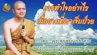 ตอนที่300.ควรทำใจอย่างไรเมื่อยามที่เราเจ็บป่วย - โดยพระครูสรการธีรคุณ เจ้าอาวาสวัดป่าธรรมวงศาราม