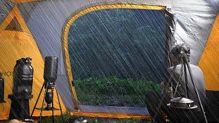 King Of Camping Gadgets Solo Camping In the Heavy Rain