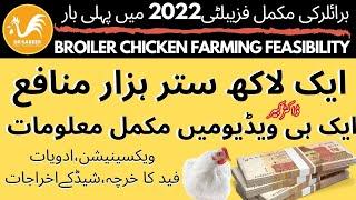 Make Money Easy in Broiler Chicken Farming Feasibility 2022    Dr Kabeer