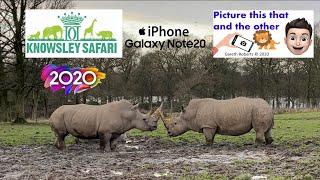 Knowsley Safari Park - close up with the Rhino and Lions