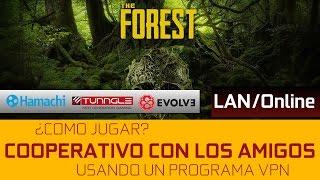 Descargar The Forest v1.07 v17.05.2018 + MULTIJUGADOR LANOnline VPN + Online Steam