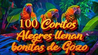 Coros Viejitos Pero Bonitos - Coros Pentecostales - Mas De 100 Coros Avivamiento Pentecostal