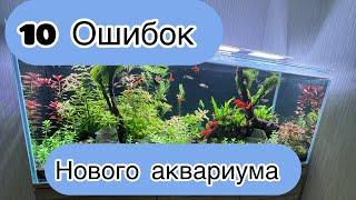 10 ошибок нового аквариумапервый запускводоросли