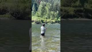 Trout Spey fishing in Montana