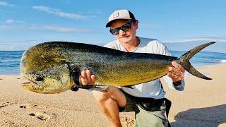 DORADO from SHORE