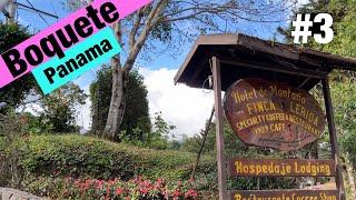 A Coffee Plantation Tour  A must do when youre in Boquete. #3