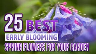 25 Best Early Blooming Spring Flowers For Your Garden