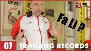 Training Records 07 - What is Fa Li Fa Jin ?