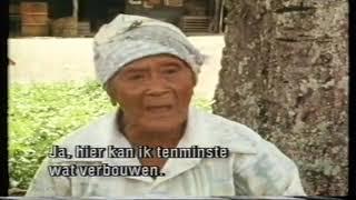 Javanen in Suriname Geschiedenis  nog steeds onderweg