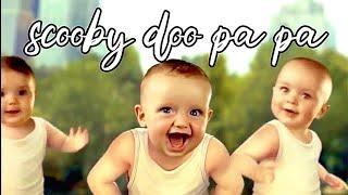 Baby Dance - Sukhi DU papa  Sukhi Du pa  Sukhdev papa  Scooby doo papa  Dame Tu Cosita song