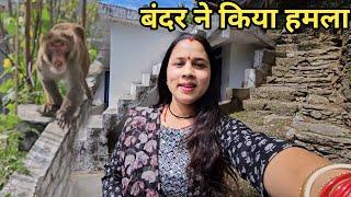 पुराने घर पर लंगूर और बंदर का आतंक बढ़ गया  Preeti Rana  Pahadi lifestyle vlog Giriya Village