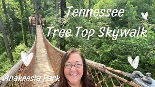 Tree Top Skywalk & Anakeesta Park - Gatlinburg TN