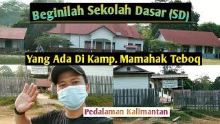 Profil Keadaan  Sekolah DasarSD Yang Ada di Kampung Mamahak Teboq  Pedalaman Kalimantan