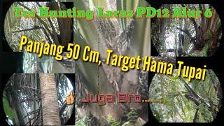 Tes Hunting Laras PD12 Alur 6 Panjang 50 Cm Target Hama Tupai