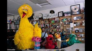 Sesame Street NPR Music Tiny Desk Concert