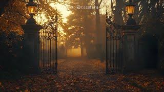 a playlist for a moody autumn dark academia \ soft piano