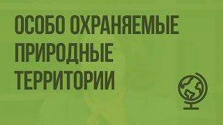 ООПТ особо охраняемые природные территории. Видеоурок по географии 8 класс