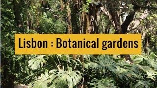 Most beautiful botanical gardens in Lisbon