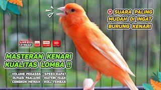 Kenari GACOR‼️ Masteran Burung Kenari PAUD dan Pancingan Kenari MACET BUNYI  EPISODE  1527