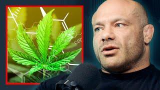 Exercise Scientist’s Opinion On Weed And Recovery - Dr Mike Israetel