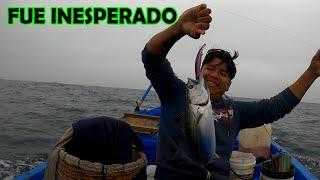 HOY ENTRÓ EL BONITO CHAUCHILLA  EN LA ENTRADA DE PUCUSANA  Tablita Fishing