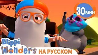 Сладость или Гадость?  Обучающие мультики для детей  Blippi Russian