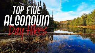 My TOP 5 Algonquin Park Day Hikes and 1 Bonus