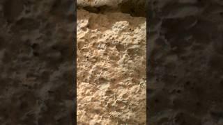InfMars - Perseverance Sol 476 - Shorts Video 1 the texture of “Bettys Rock