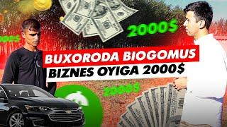 1000$ TIKIB 1 YILDA 20000$ DAROMADLI BIOGOMUS BIZNESI BUXORO