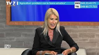 Tv7 con Voi 9924 - Agricoltori problemi con la fauna selvatica 1 di 2