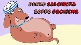 Cancion viral de TikTok  Perro salchicha gordo Bachicha   Animación