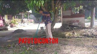 salam dari Riau ‼️ Rahman semar bersih-bersih halaman