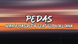 Wany Hasrita - Pedas feat Sophia Liana Lirik
