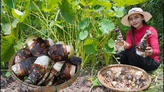 Dig taro in my countryside and cook food recipe - Polin lifestyle