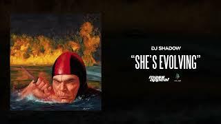 DJ Shadow - Shes Evolving Official Audio
