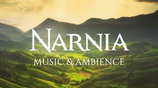 Narnia Music & Ethereal Ambience  Read Write & Relax 1 HOUR