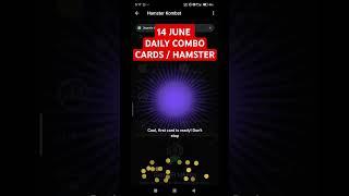 14 June Combo Cards hamster Combat #hamsterkombat #dailycombo #hamstercombatdailycombo