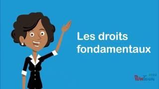 Les Droits fondamentaux