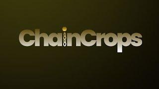 Chain Crops Daily Combo fro 3rd July  claim 500000 chaincrops