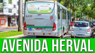 Avenida Herval MaringáPR - Movimentação de Ônibus #764