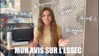 Mon avis FINAL sur lESSEC Global BBA