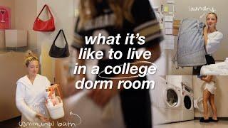 realistic 48 hours in a dorm