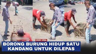 Pria Borong Burung Hidup Satu Kandang Cuma Minta Pedagang Lakukan Ini