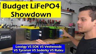 Budget LiFePO4 Showdown Lossigy VS SOK VS Vestwoods VS Tycorun VS Soderky VS Ruixu