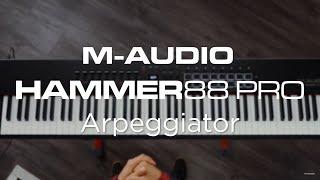 M-Audio Hammer 88 Pro  Arpeggiator Overview