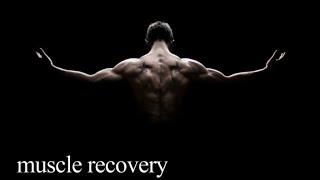 muscle recovery morphic field