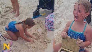 5-year-old finds TREASURE CHEST