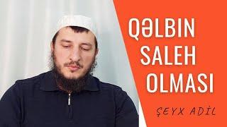 Qəlbin saleh olması 25.11.22Şeyx Adil Rəcəbov