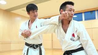 Awesome Kata Bunkai by Naka Shihan from JKA