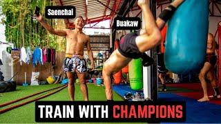 The 5 BEST Muay Thai GymsCamps in Thailand for Beginners